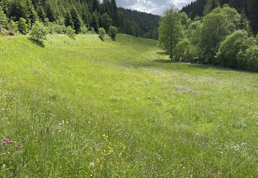 22-05-29 15-05-44 0996